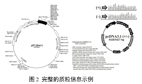 重組人源化膠原蛋白原材料評價指導原則(2023年第16號)(圖6) 重組人源化膠原蛋白原材料評價指導原則(2023年第16號)(圖6)