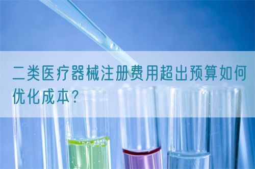 二類醫(yī)療器械注冊費用超出預算如何優(yōu)化成本？(圖1)
