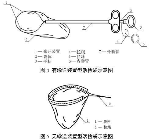 一次性使用內(nèi)窺鏡用活檢袋注冊(cè)審查指導(dǎo)原則(2025年第20號(hào))(圖4) 一次性使用內(nèi)窺鏡用活檢袋注冊(cè)審查指導(dǎo)原則(2025年第20號(hào))(圖4)