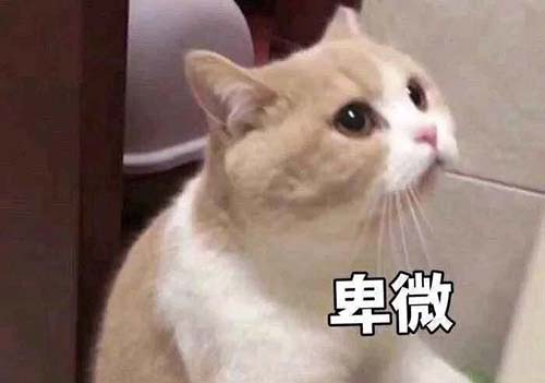 無經(jīng)驗怎么入行CRA？入行CRA的硬性條件有哪些？(圖3)