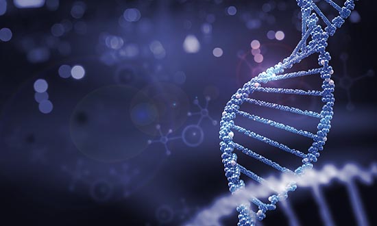 什么是Ⅰ期臨床研究？一文搞懂Ⅰ期臨床試驗全過程(圖3)