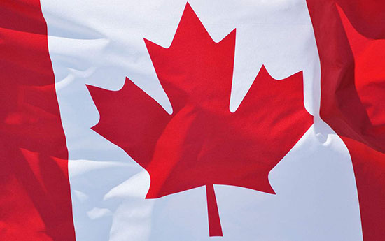 醫(yī)療器械出口歐美日韓澳加要辦什么手續(xù)？(圖4)