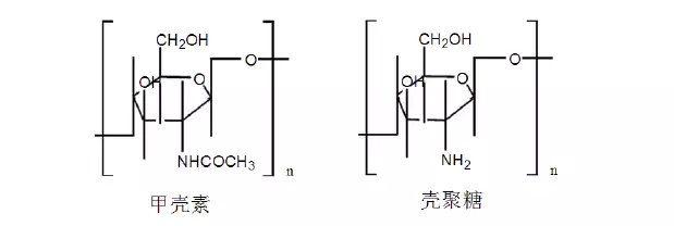 可吸收高分子材料介紹及其在植入醫(yī)療器械中的應(yīng)用(圖2) 可吸收高分子材料介紹及其在植入醫(yī)療器械中的應(yīng)用(圖2)