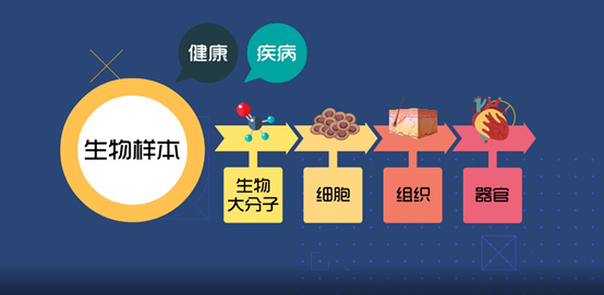 淺談CRC生物樣本管理！生物樣本采集、處理、存儲、運輸全過程注意事項(圖1)