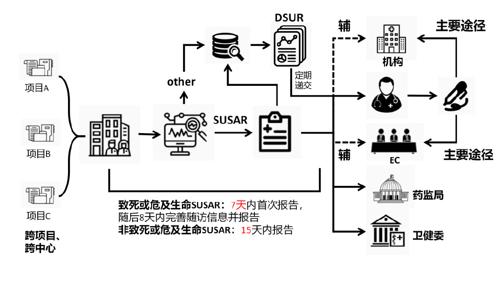 臨床試驗安全性事件如何上報？臨床試驗不良事件上報流程圖(圖3)